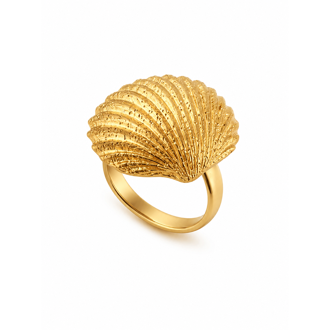 Conchiglia Sole