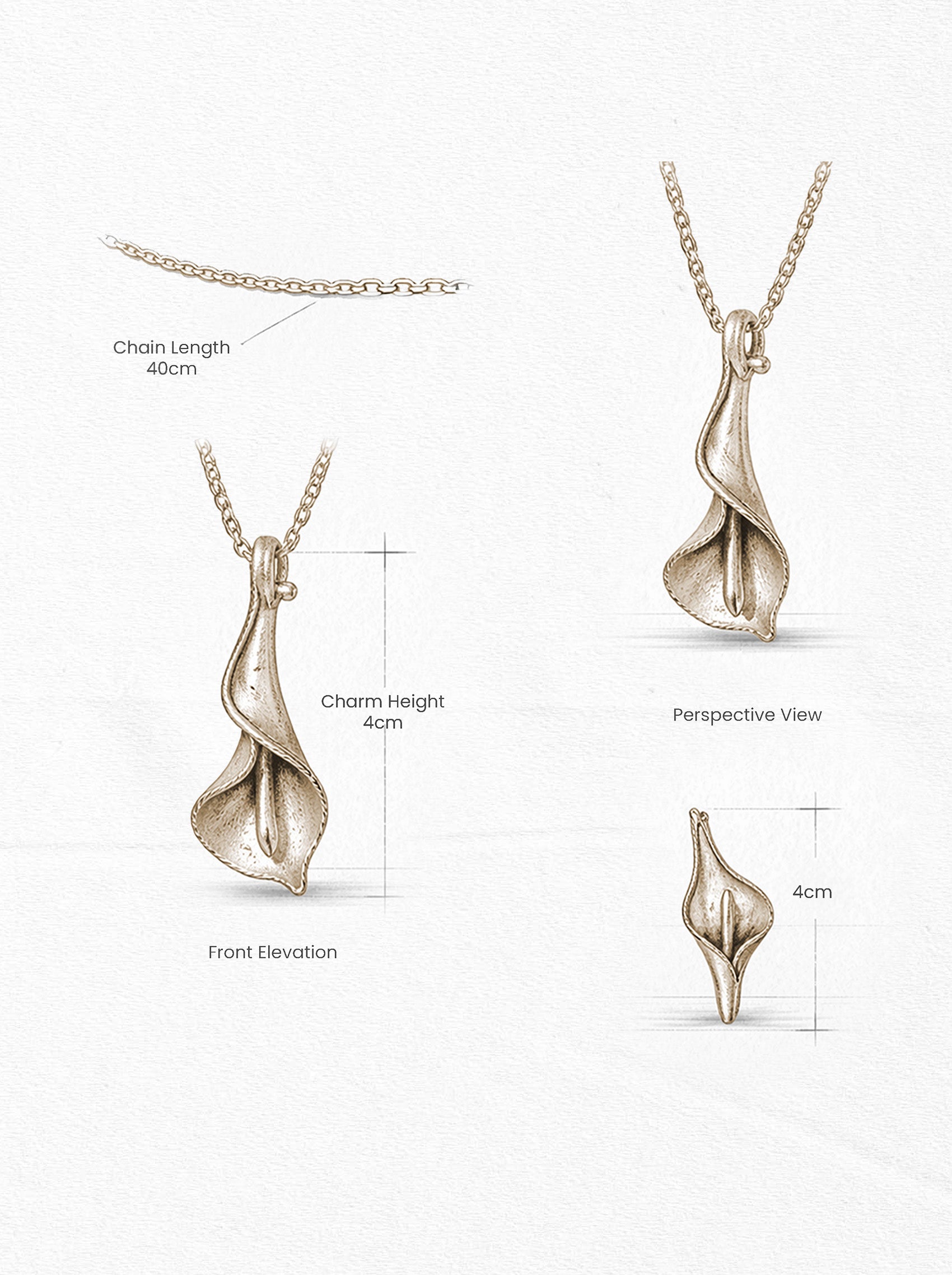 Calla Alba Gold Color