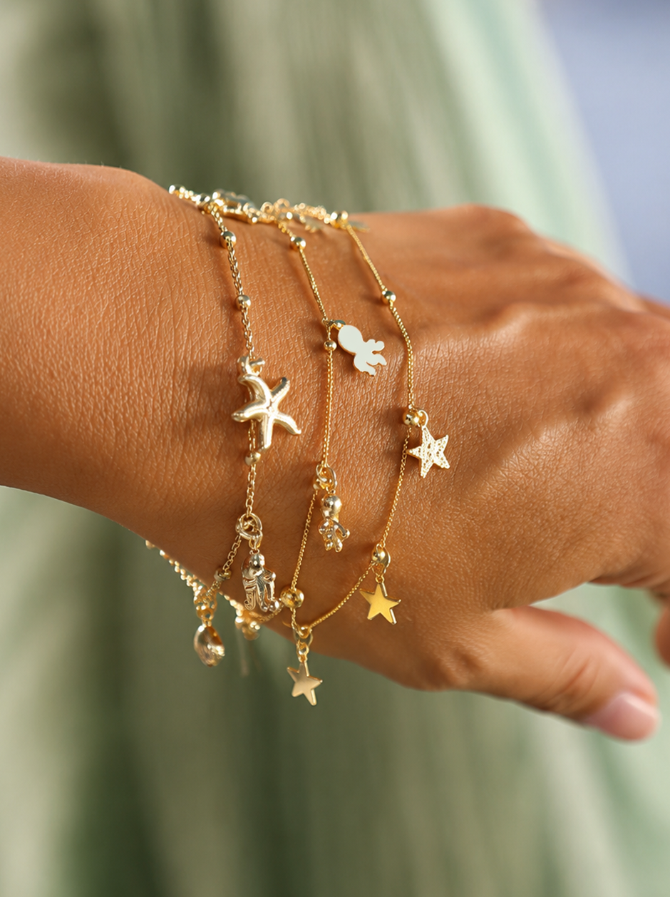 Stelle di Mare