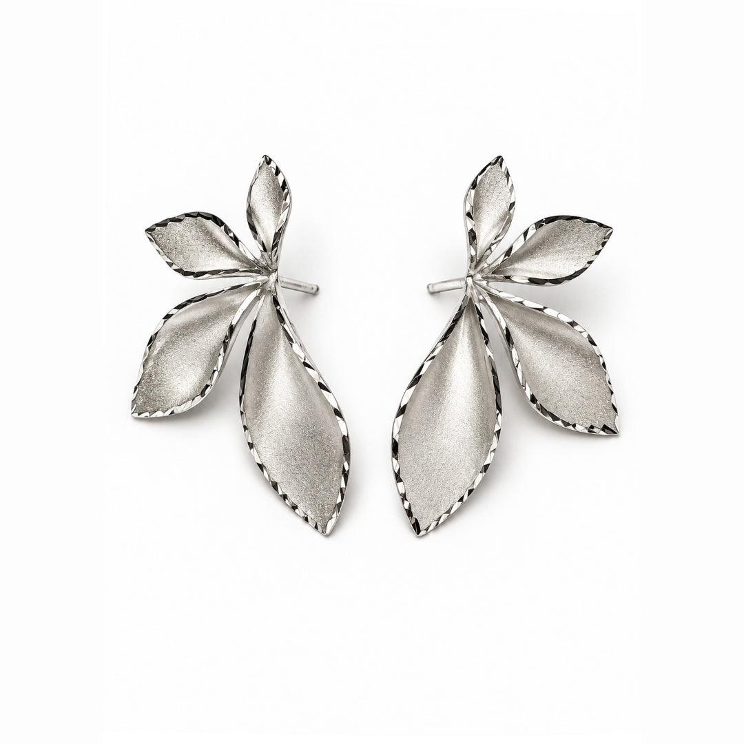 Ulivo Silver
